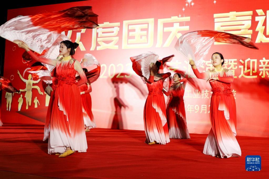 菠菜网下载